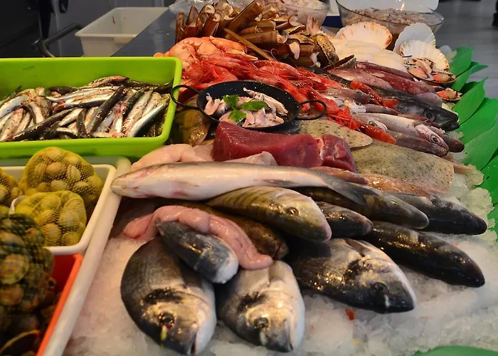 Solvi - Adults Only 2* Vilanova i la Geltrú